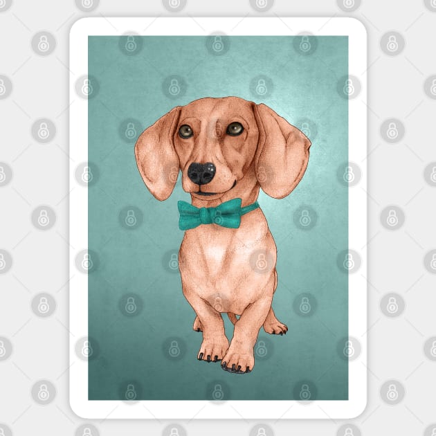 Dachshund Sticker by Barruf